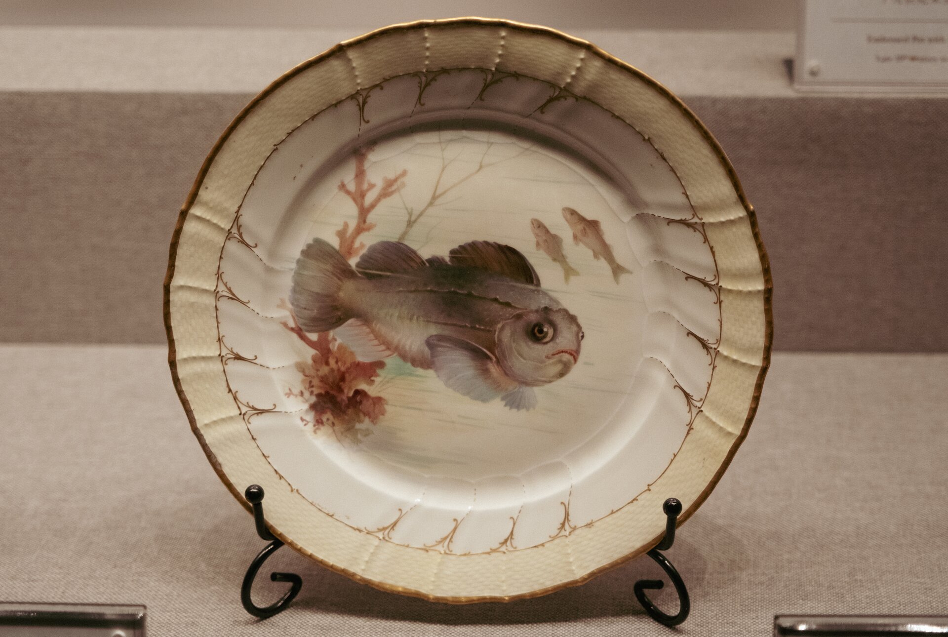 sad fish plate