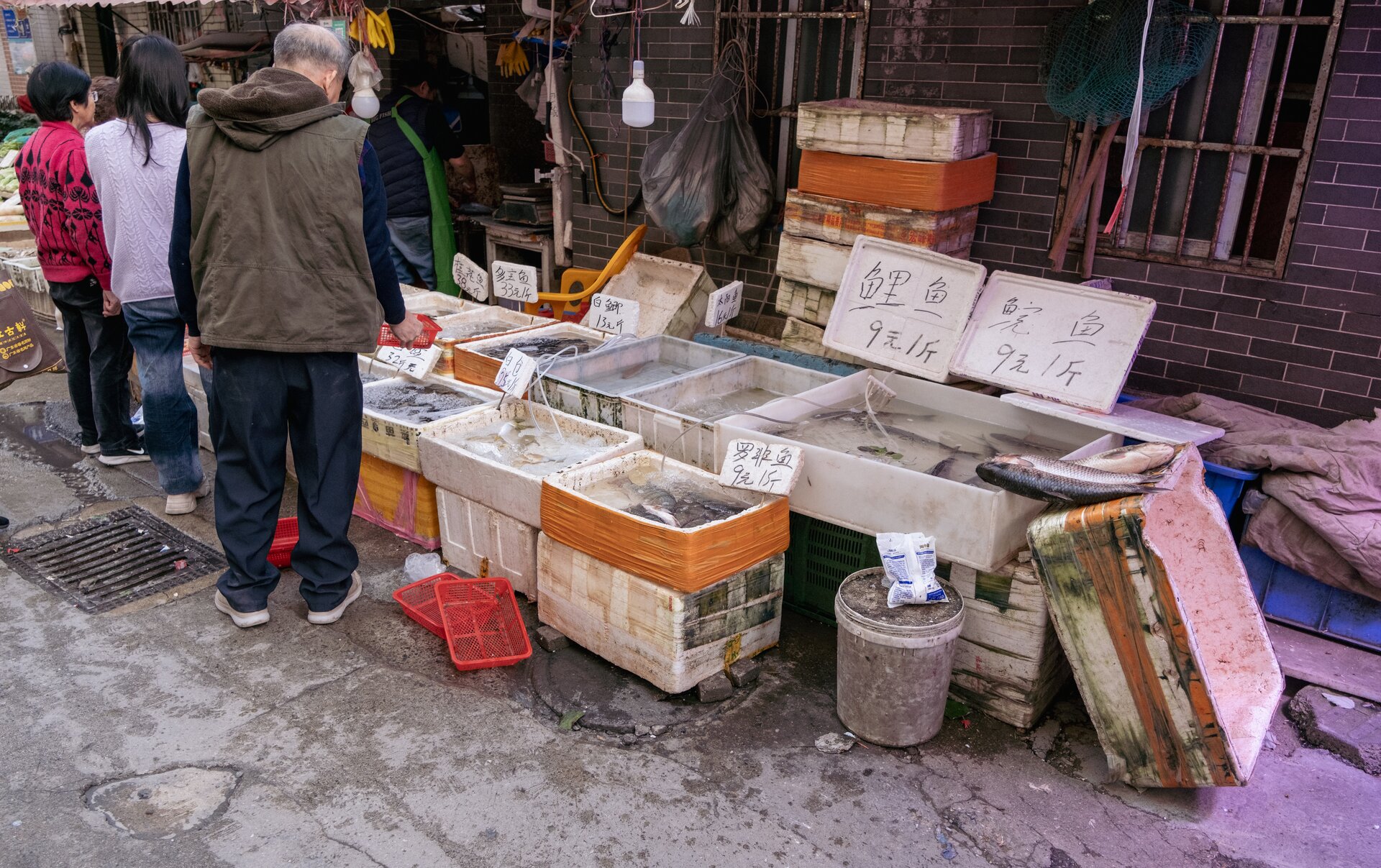 fish in styrofoam boxes