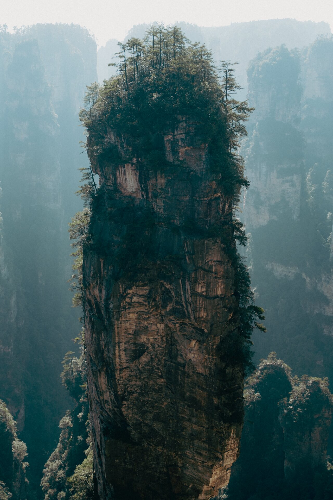 zhangjiejae pillar