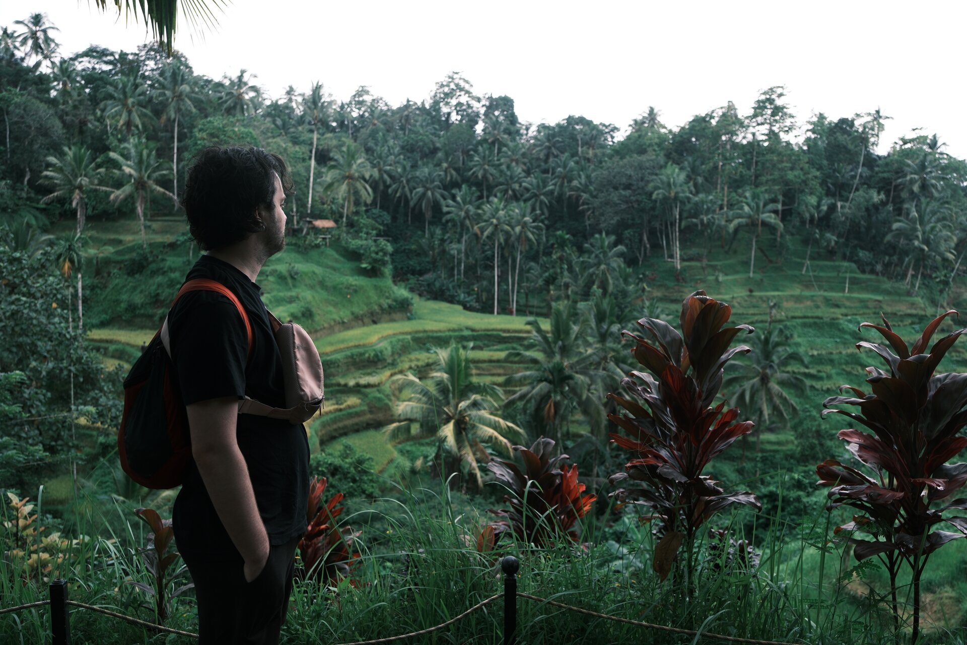 man looking over ricefields