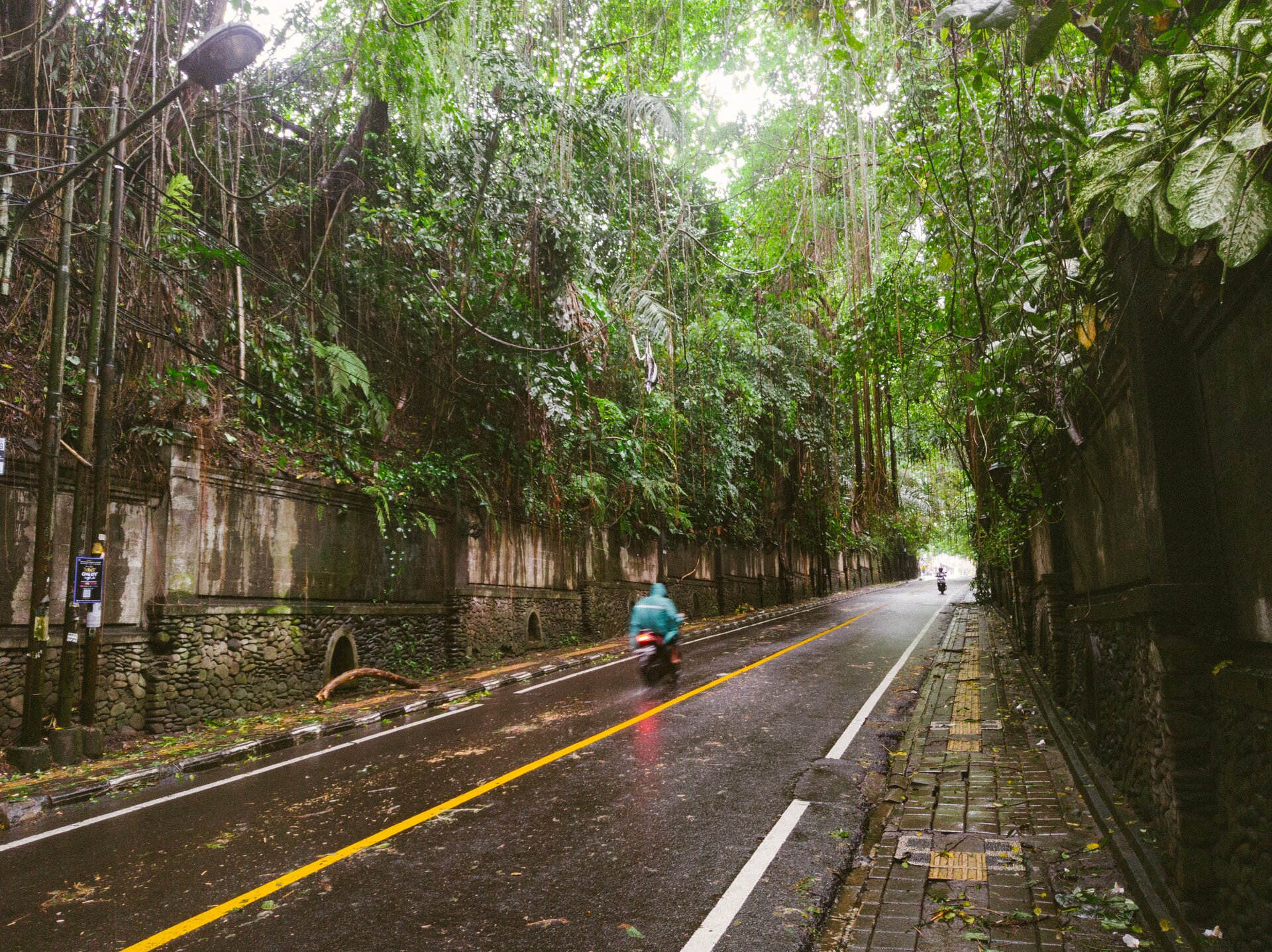 ubud road