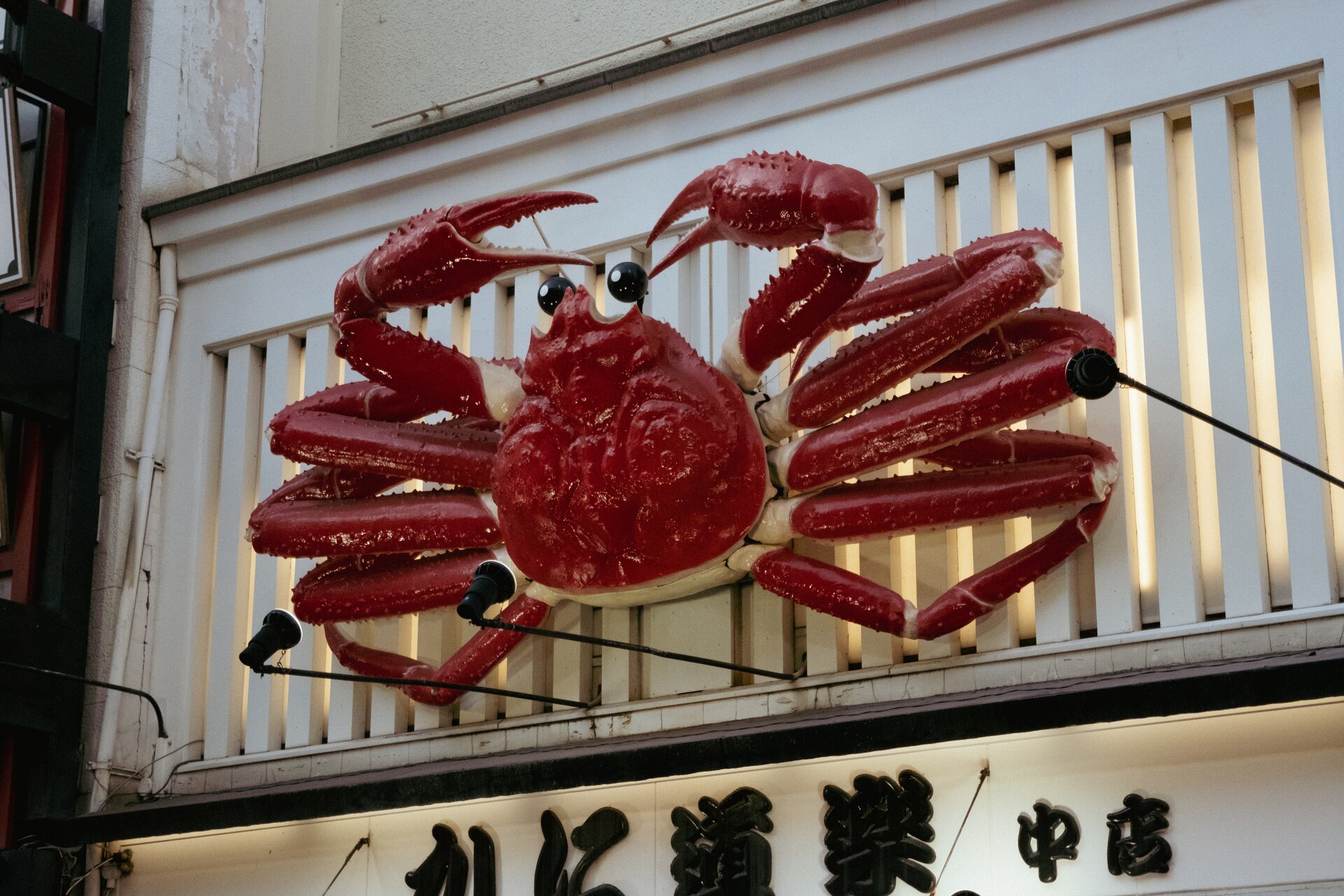 crab