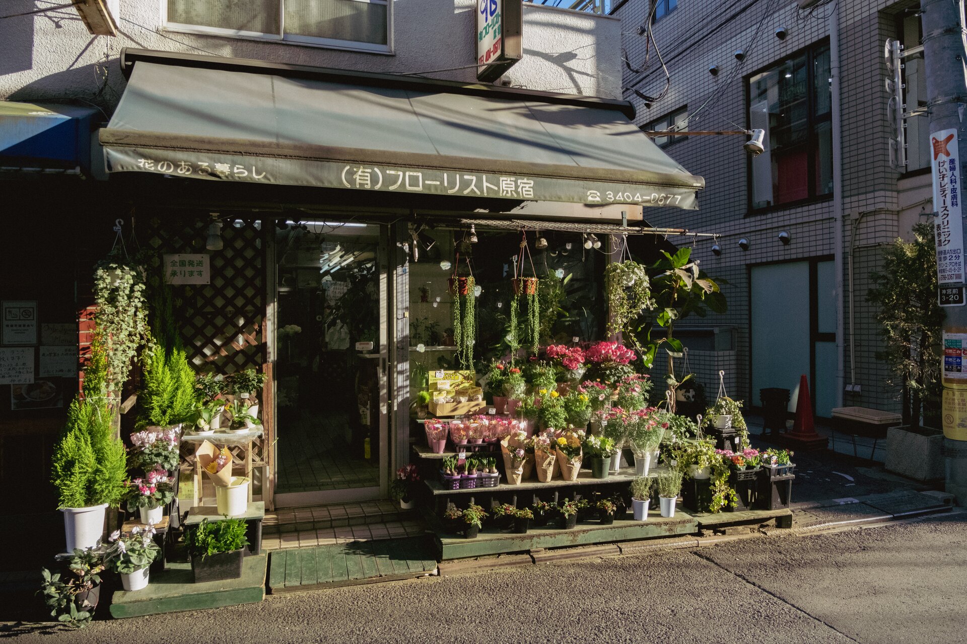 flower shop
