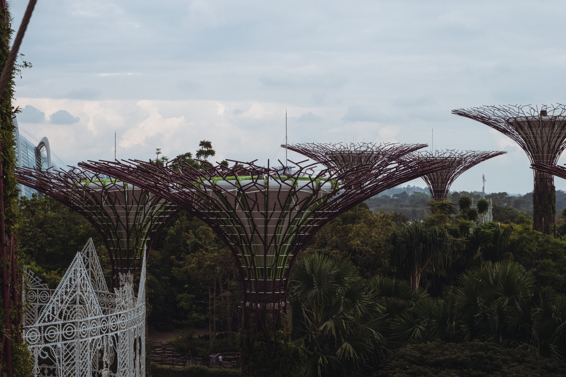 gardens by the bay