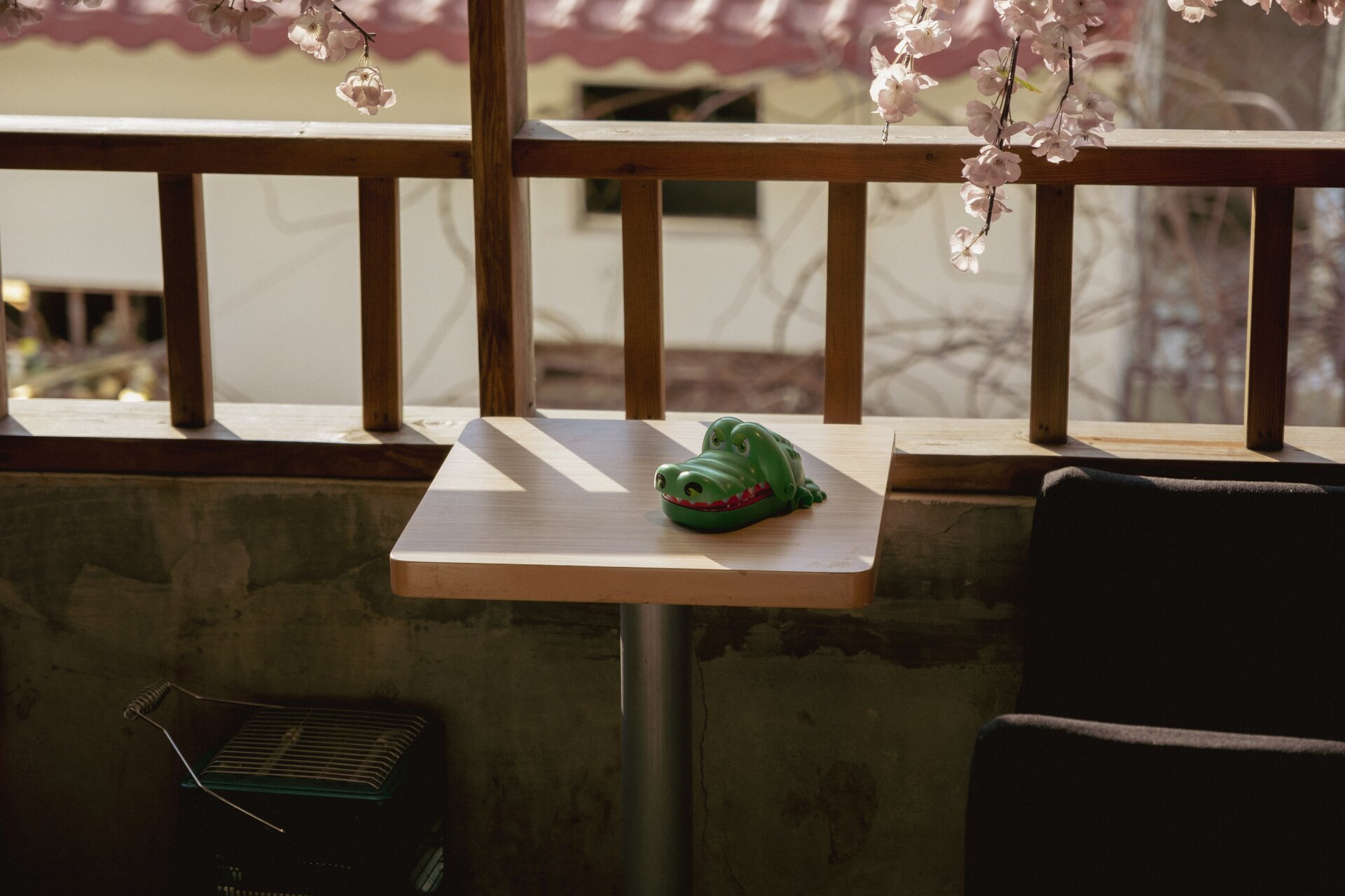 crocodile party game