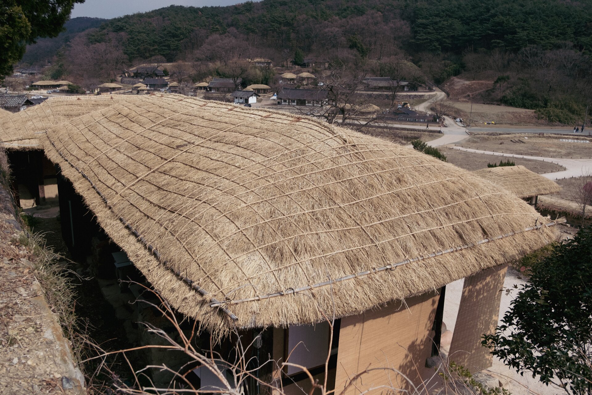 thatched roof