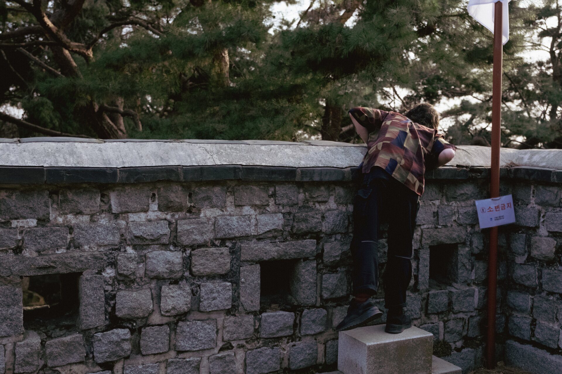 jade looking over the wall