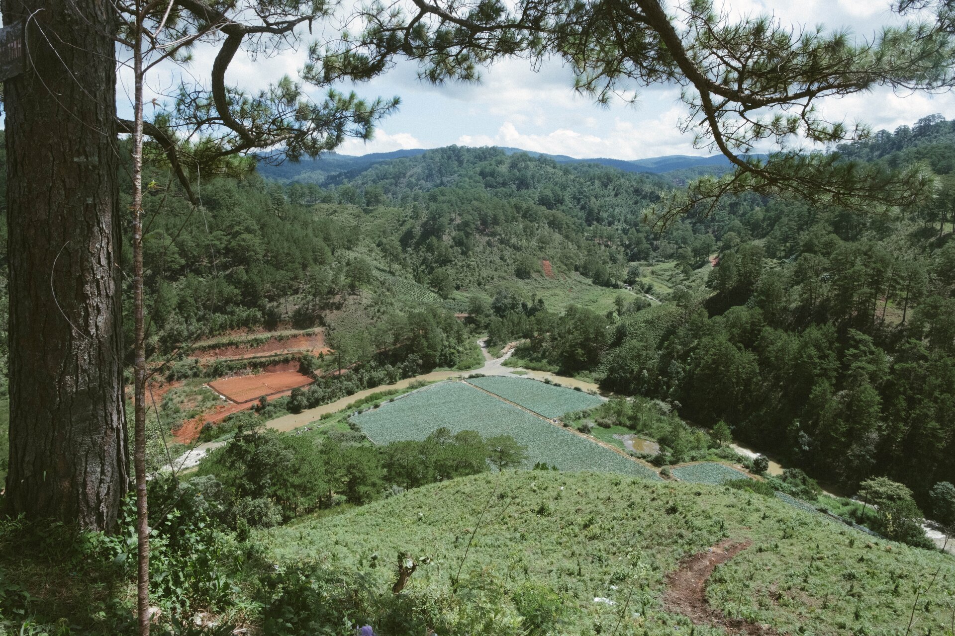 da lat landscape