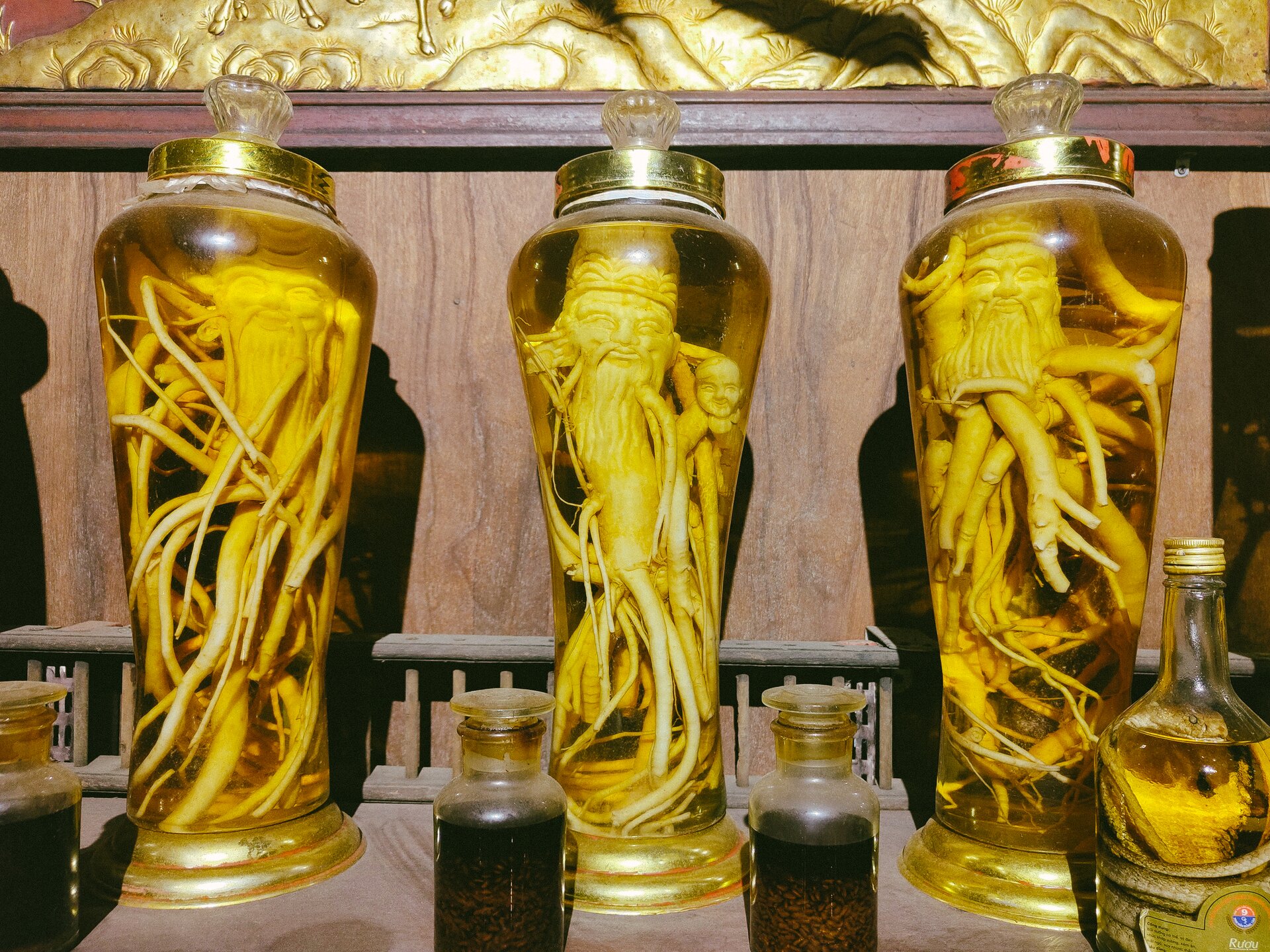 ginseng roots